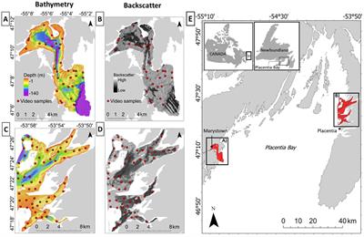 Incorporating functional traits with habitat maps: patterns of diversity in coastal benthic assemblages